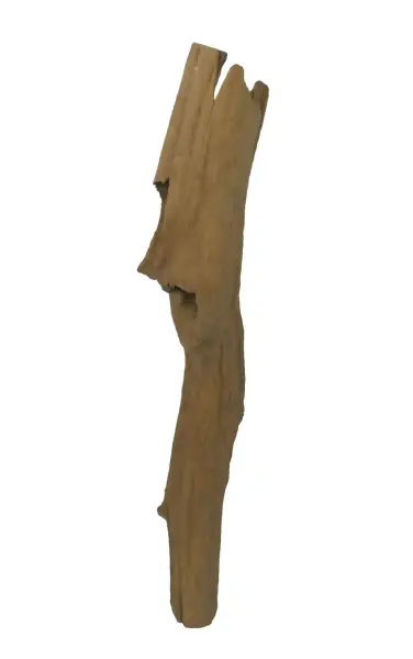 Product image 2 of the product “Root made of teak wood, around 95 - 130 cm Height. May vary shapes. ”
